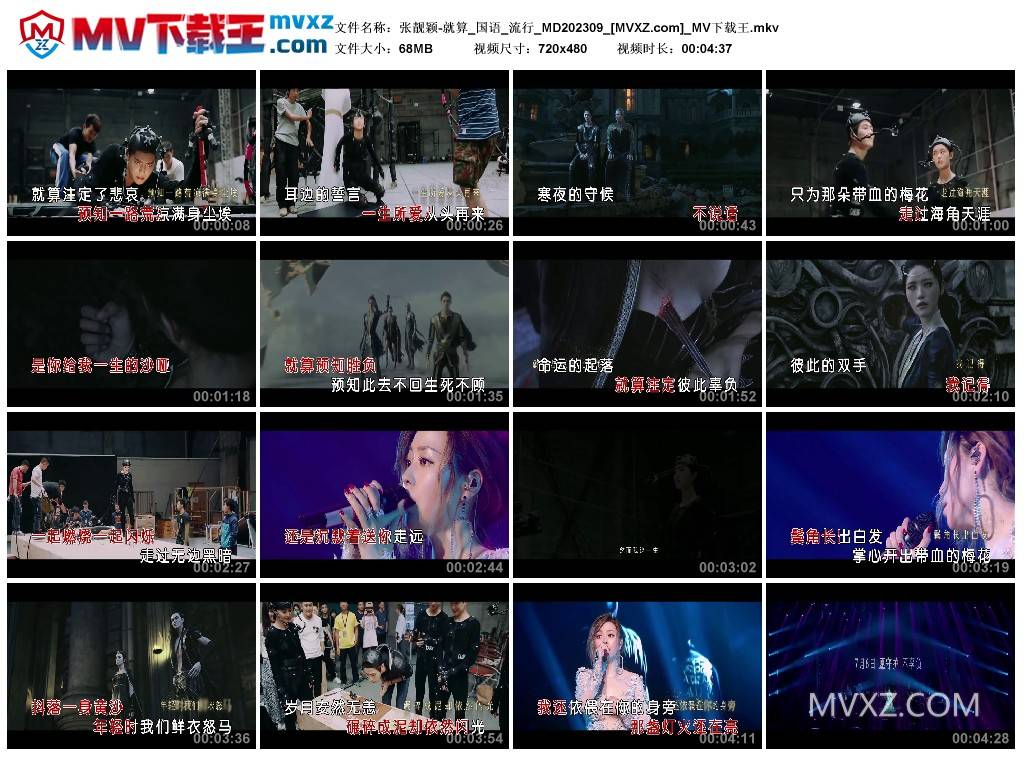 张靓颖-就算_国语_流行_MD202309